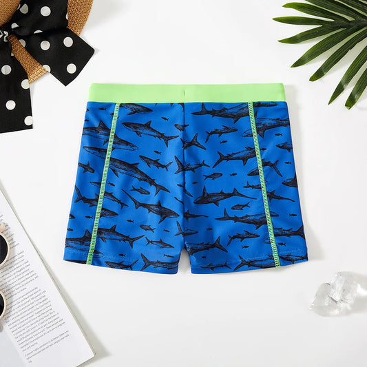 Swim Trunks